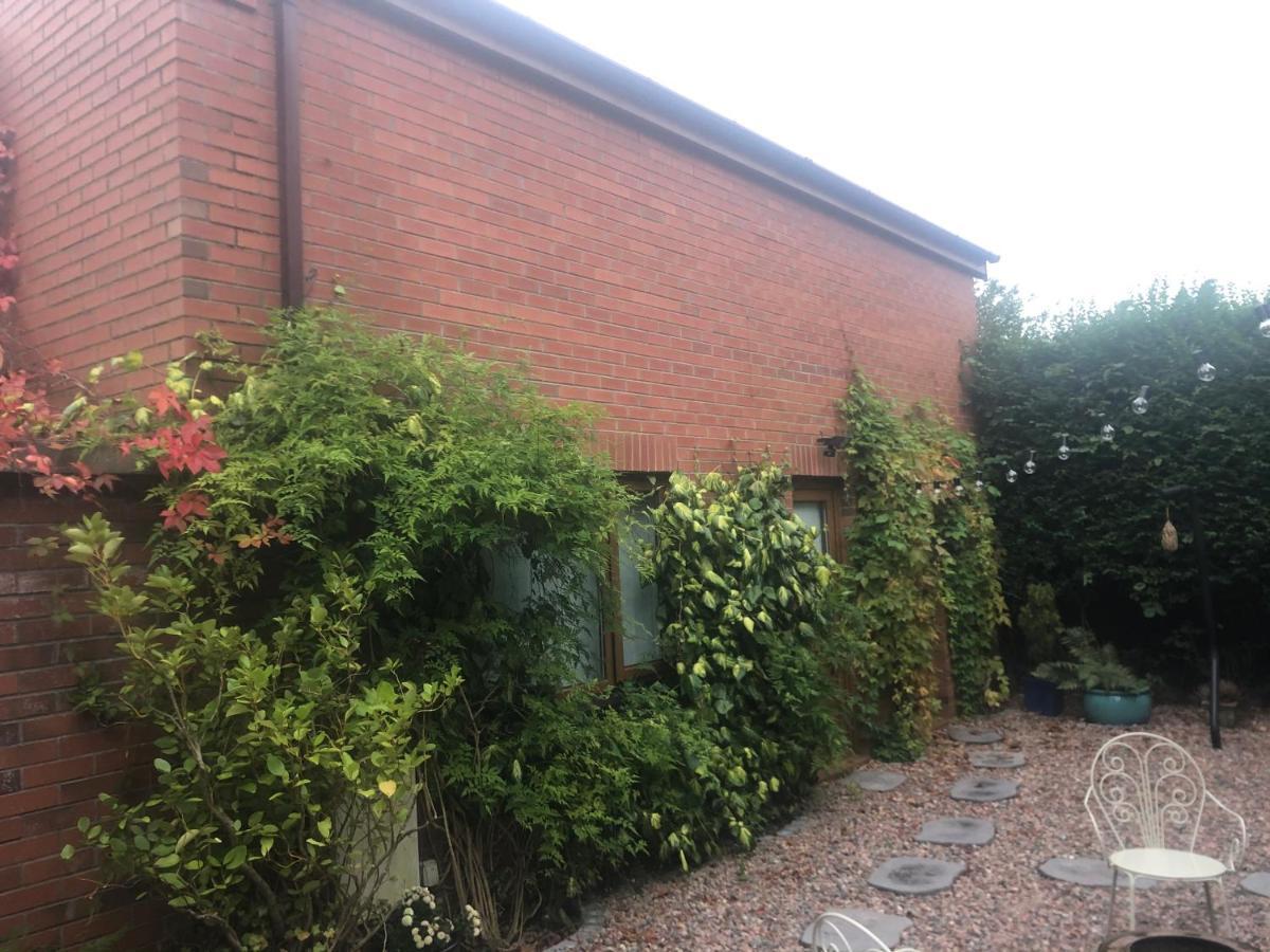 Appartamento Self Contained Coach House In Leafy South Belfast The Location Is Not Accurate Esterno foto